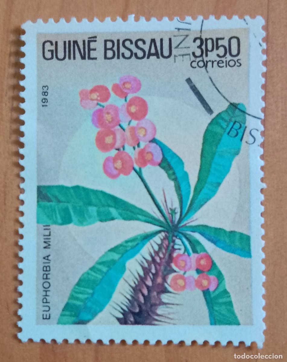 Sellos: GUINEA BISSEAU - V/F 3P50 - A&Ntilde;O 1983 - FLOR, FLORA, PLANTA: EUPHORBIA MILII
