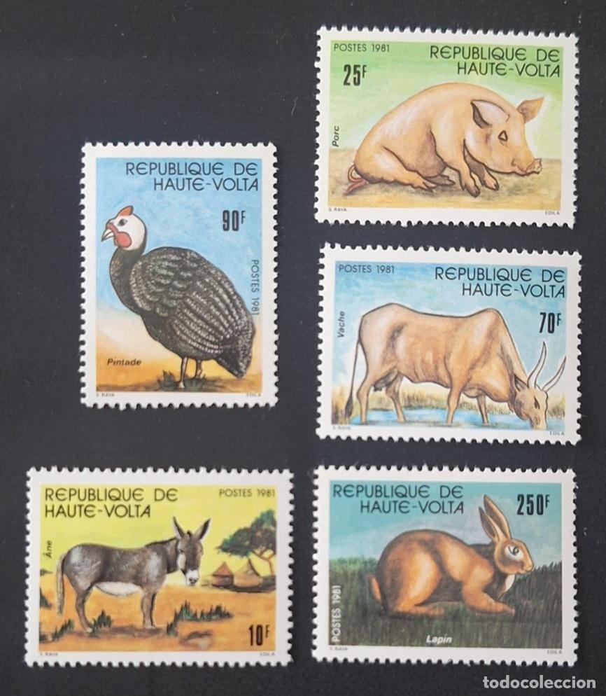 Briefmarken: Alto Volta 1981 Mi. 851-855 animales granja guinea cerdo vaca burro conejo