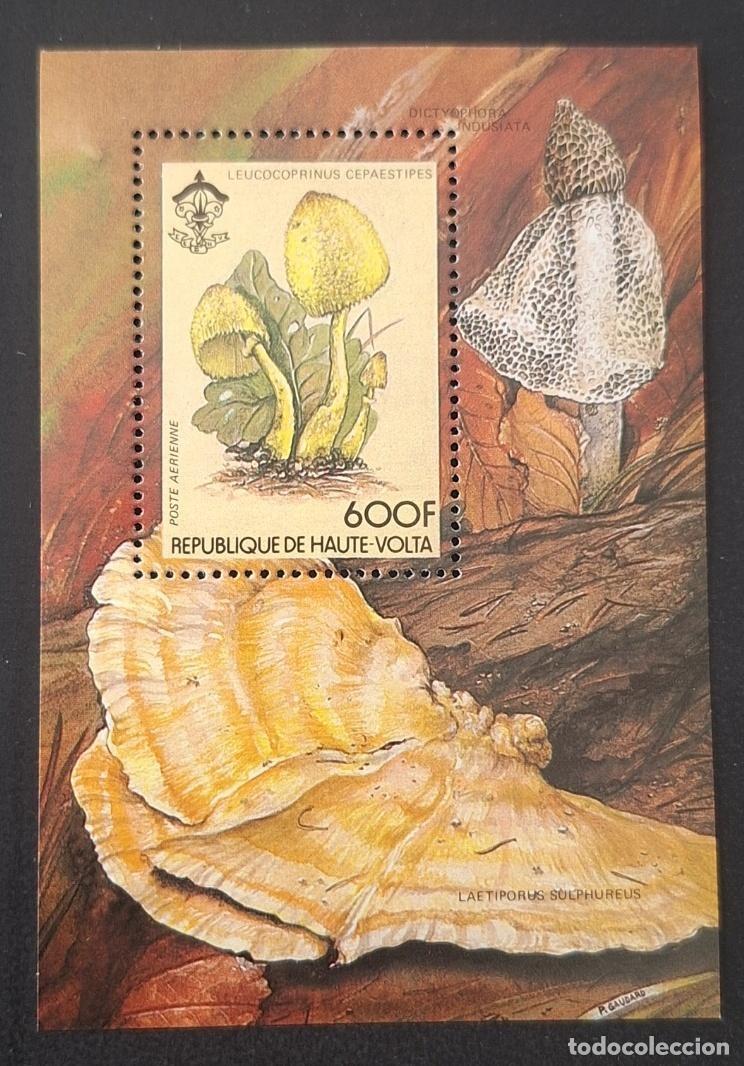 Sellos: Alto Volta 1984 Mi. Bl. 80 hongos Leucocoprinus escultismo