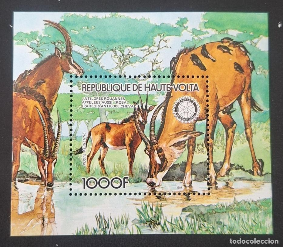 Sellos: Alto Volta 1984 Mi. Bl. 87 ant&iacute;lopes ruanos Koba fauna Rotary