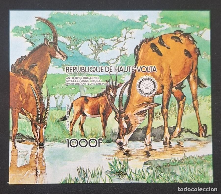 Sellos: Alto Volta 1984 Mi. Bl. 87 ND ant&iacute;lopes ruanos koba fauna Rotary