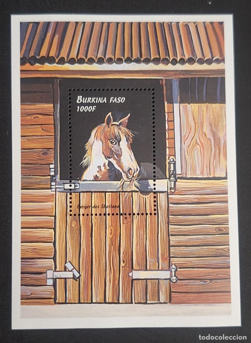 Sellos: Burkina Faso 1999 Mi. Bl. 195 caballo Pastor Shetland poni establo