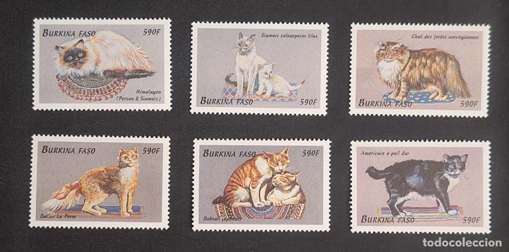 Sellos: Burkina Faso 1999 Mi. 1694-1699 gatos razas Himalayo Siam&eacute;s Noruego