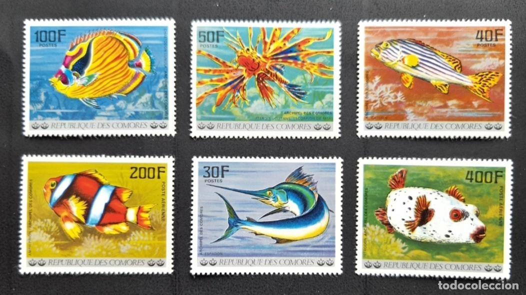 Stamps: Comoras 1977 Mi. 362-367 peces tropicales arrecife coral pez espada