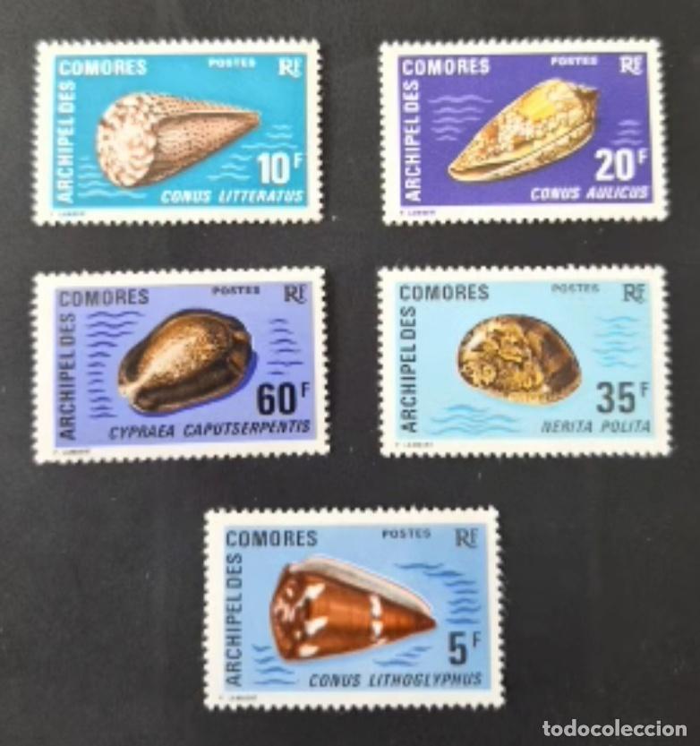 Sellos: Comoras 1971 Mi. 129-133 conchas Conus Cypraea Nerita fauna marina