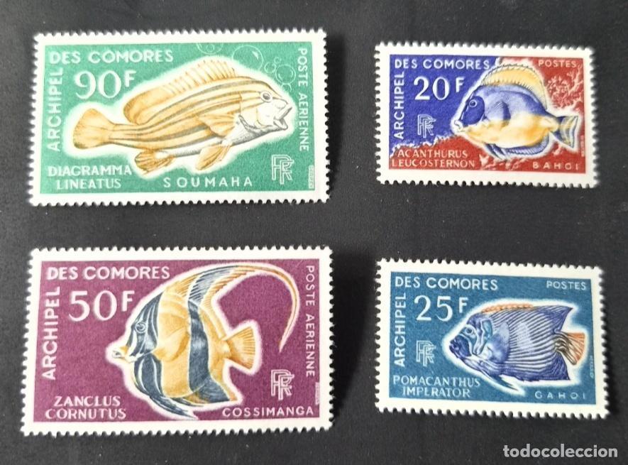 Sellos: Comoras 1968 Mi. 88-91 peces tropicales fauna marina correo a&eacute;reo