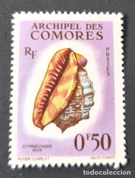 Sellos: Comoras 1962 Mi. 42 caracol Cypraecassis rufa fauna marina