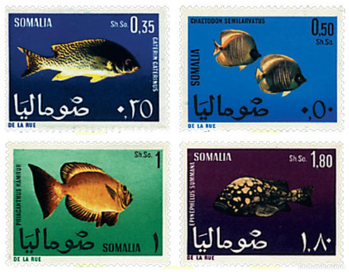 Sellos: 28436 MNH SOMALIA 1967 PECES