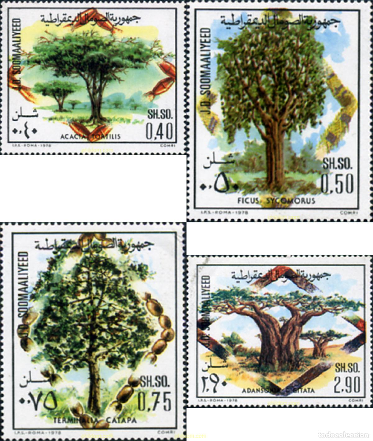 Sellos: 363265 MNH SOMALIA 1978 ARBOLES