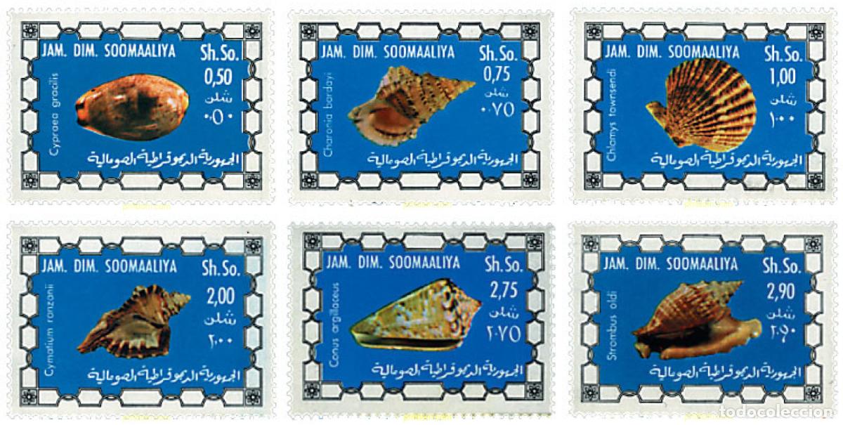 Sellos: 52842 MNH SOMALIA 1976 CONCHAS