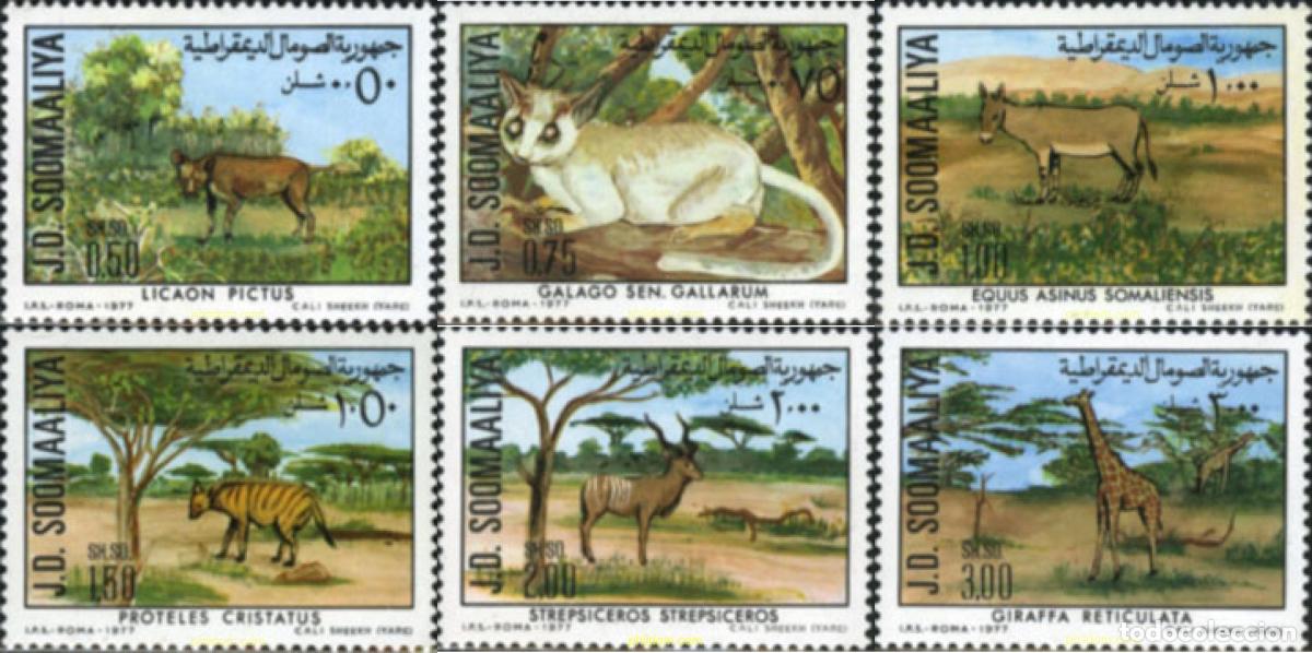 Sellos: 30253 MNH SOMALIA 1977 PROTECCION DE LA FAUNA