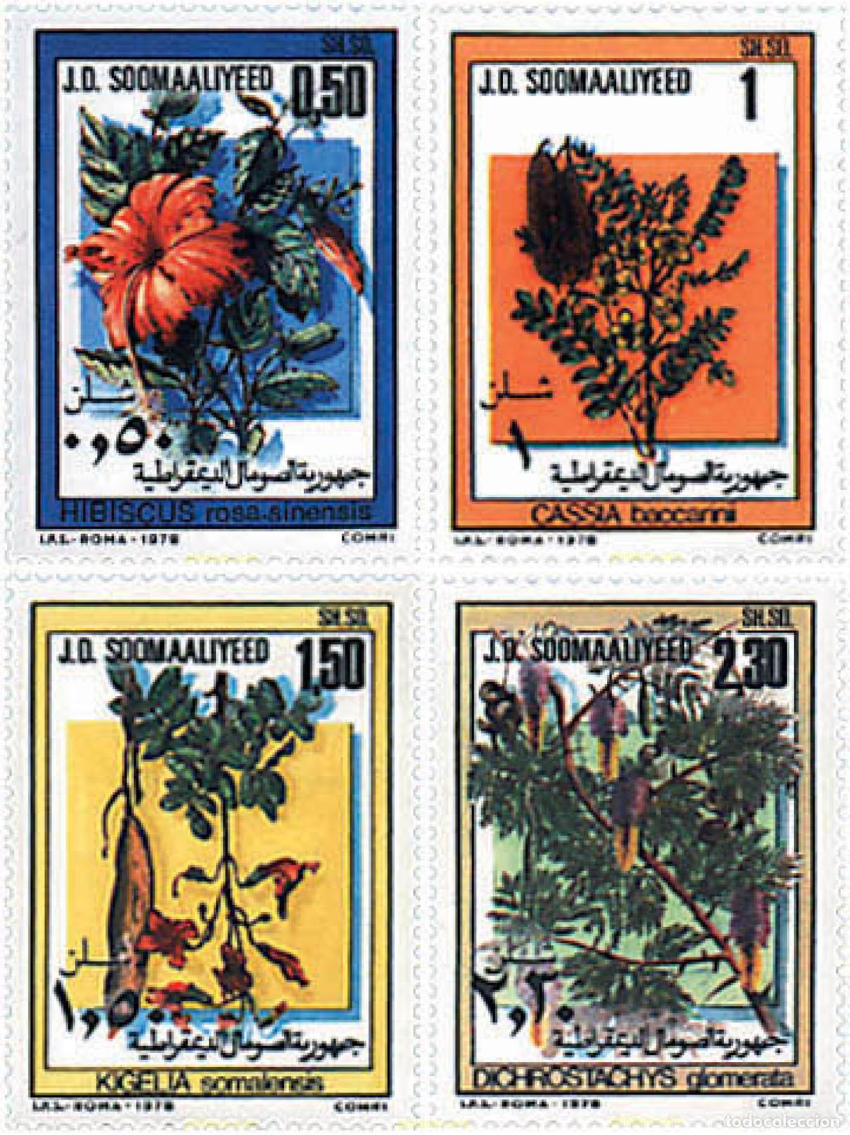 Sellos: 93638 MNH SOMALIA 1978 FLORES DE SOMALIA