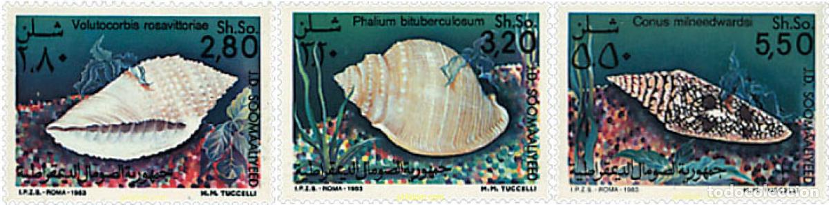 Sellos: 52952 MNH SOMALIA 1984 CONCHAS