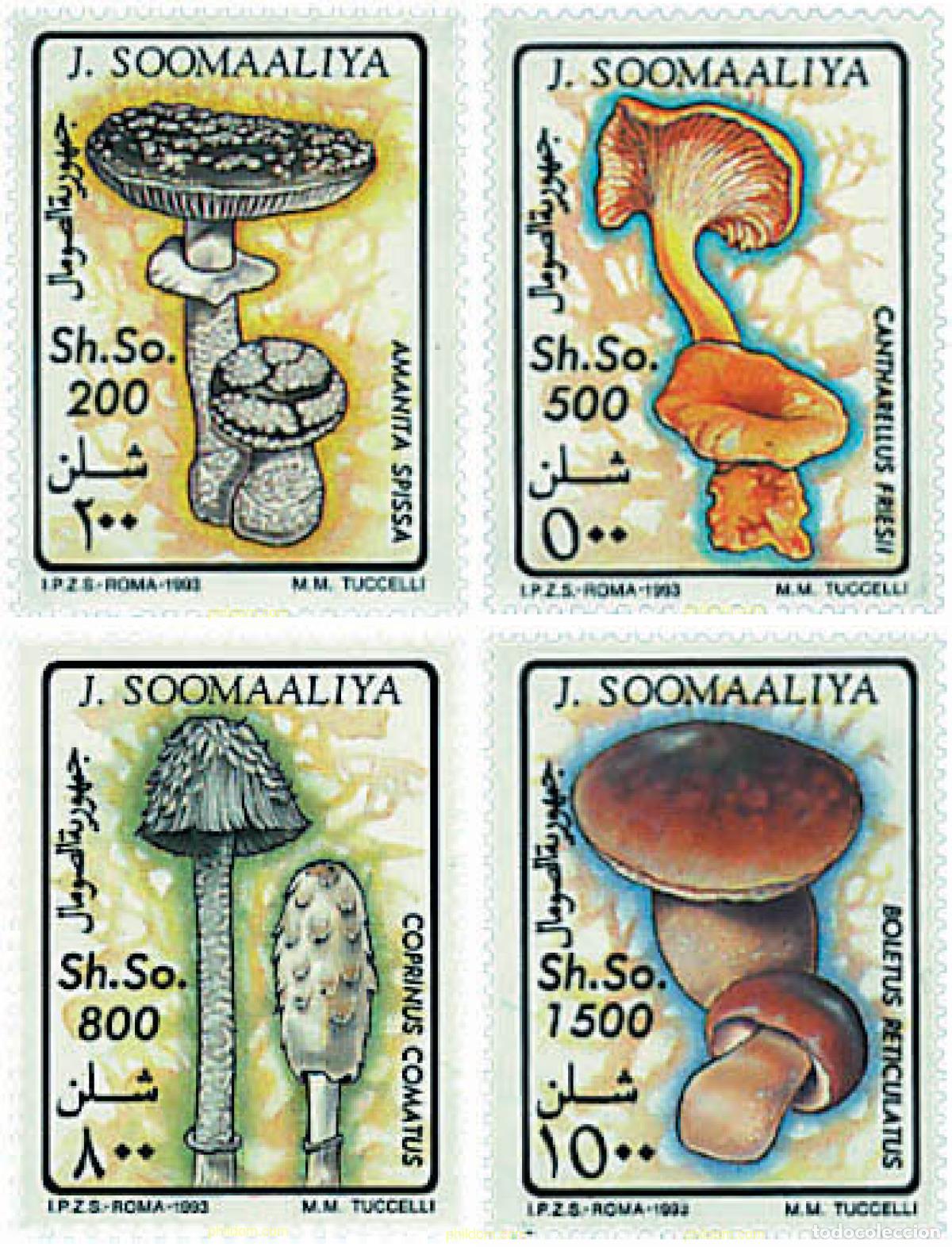 Sellos: 34921 MNH SOMALIA 1993 SETAS