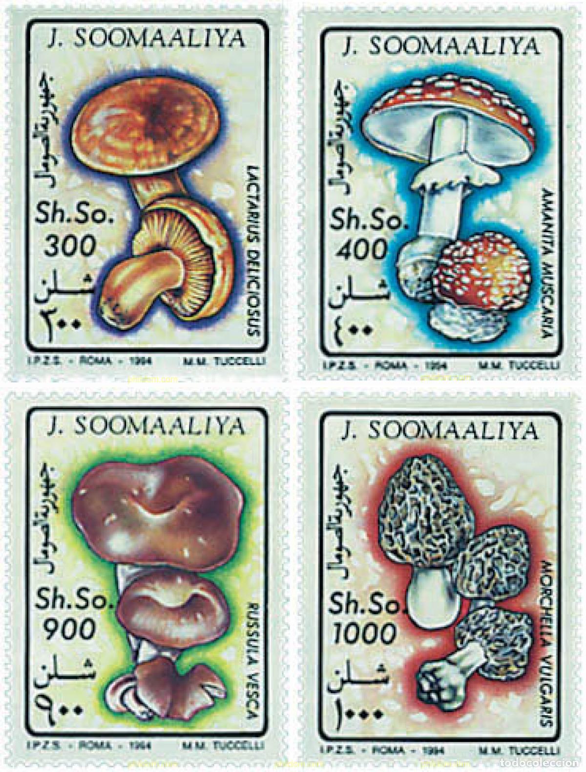 Sellos: 34534 MNH SOMALIA 1994 SETAS