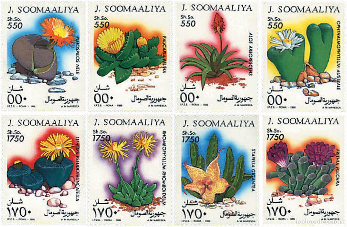 Sellos: 93643 MNH SOMALIA 1995 FLORES DE PLANTAS CRASAS