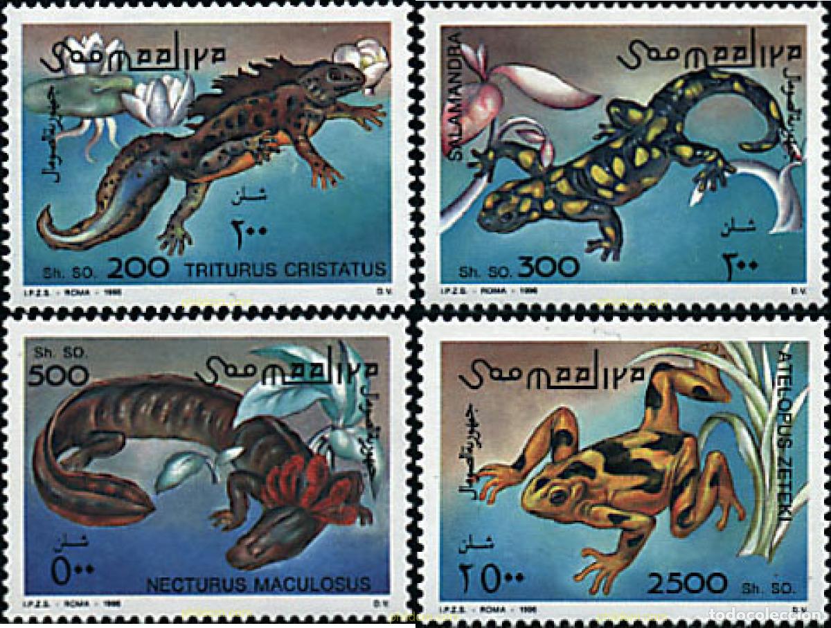 Sellos: 39400 MNH SOMALIA 1996 REPTILES ANFIBIOS