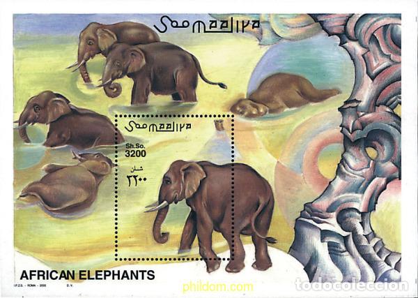 Sellos: 76673 MNH SOMALIA 2000 ELEFANTES