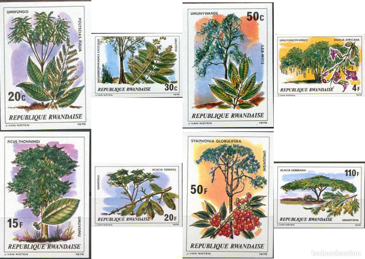 Sellos: 56539 MNH RUANDA 1979 ARBOLES
