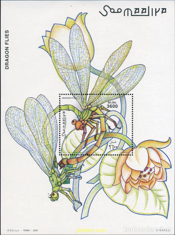 Sellos: 145372 MNH SOMALIA 2003 INSECTOS