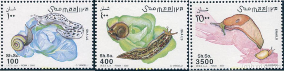 Sellos: 145378 MNH SOMALIA 2003 CARACOLES