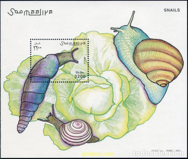 Sellos: 145379 MNH SOMALIA 2003 CARACOLES