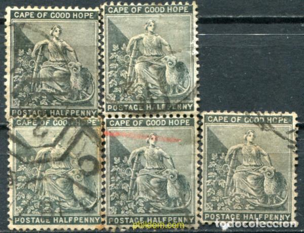 Sellos: 795018 USED CABO DE BUENA ESPERANZA 1882 ESPERANZA