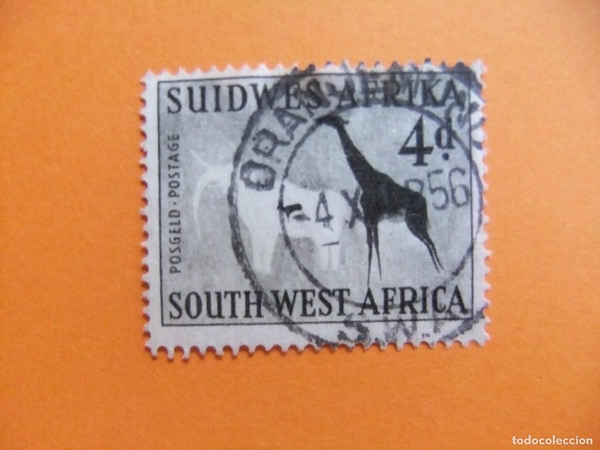 Sellos: 48 SWA SUIDWES AFRIKA - SOUTH WEST AFRICA 1954 / YVERT 240 FU