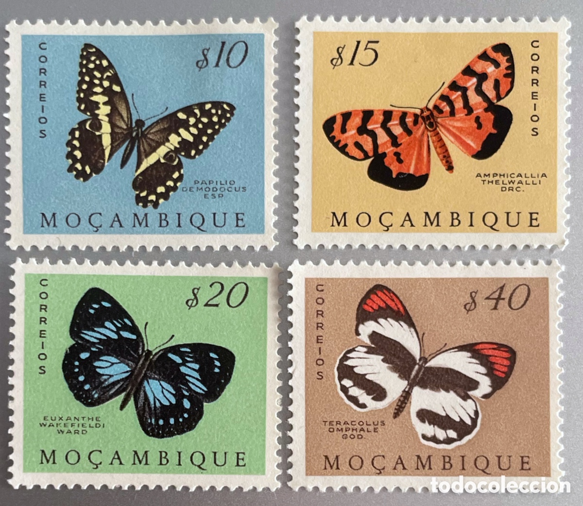 Sellos: Mozambique. Polillas y mariposas. 1953