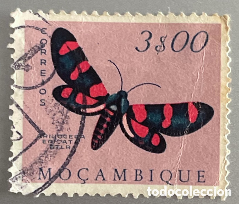 Sellos: Mozambique. Polillas y mariposas. 1953