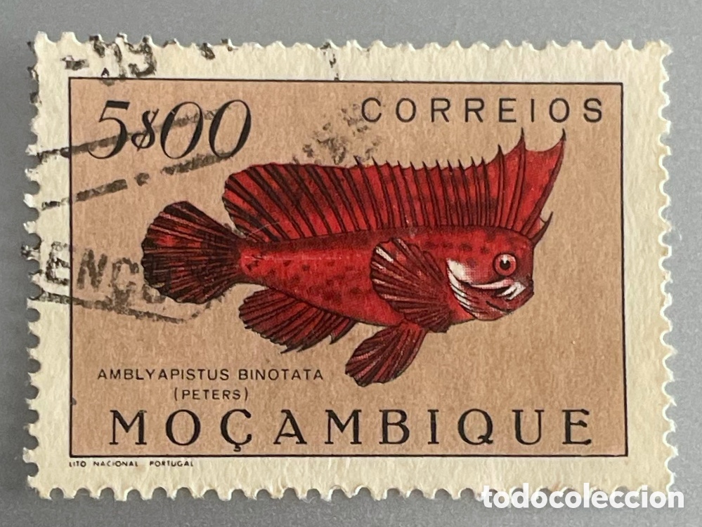 Sellos: Mozambique. Peces. 1951