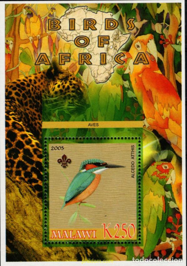 Sellos: 795756 MNH MALAWI 2005 - Foto 1