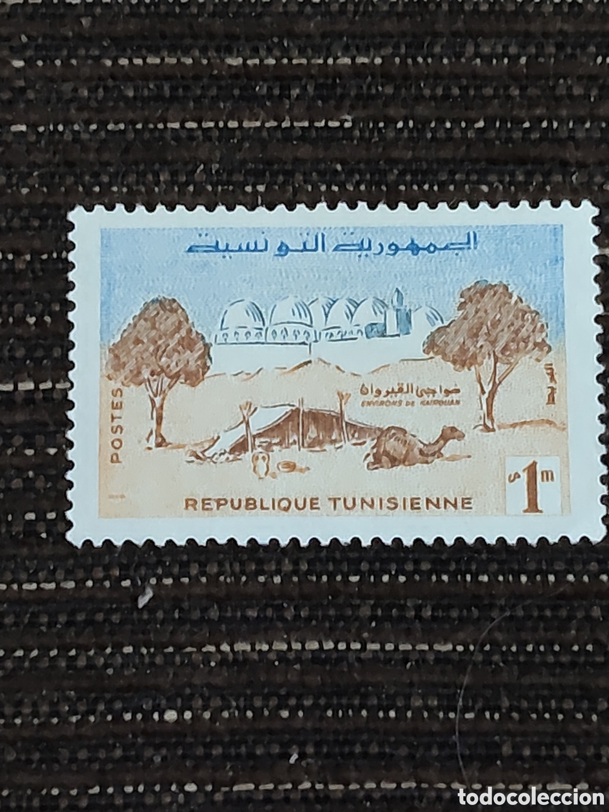 Sellos: Sello de T&uacute;nez escena de los alrededores de Kairouan 1959