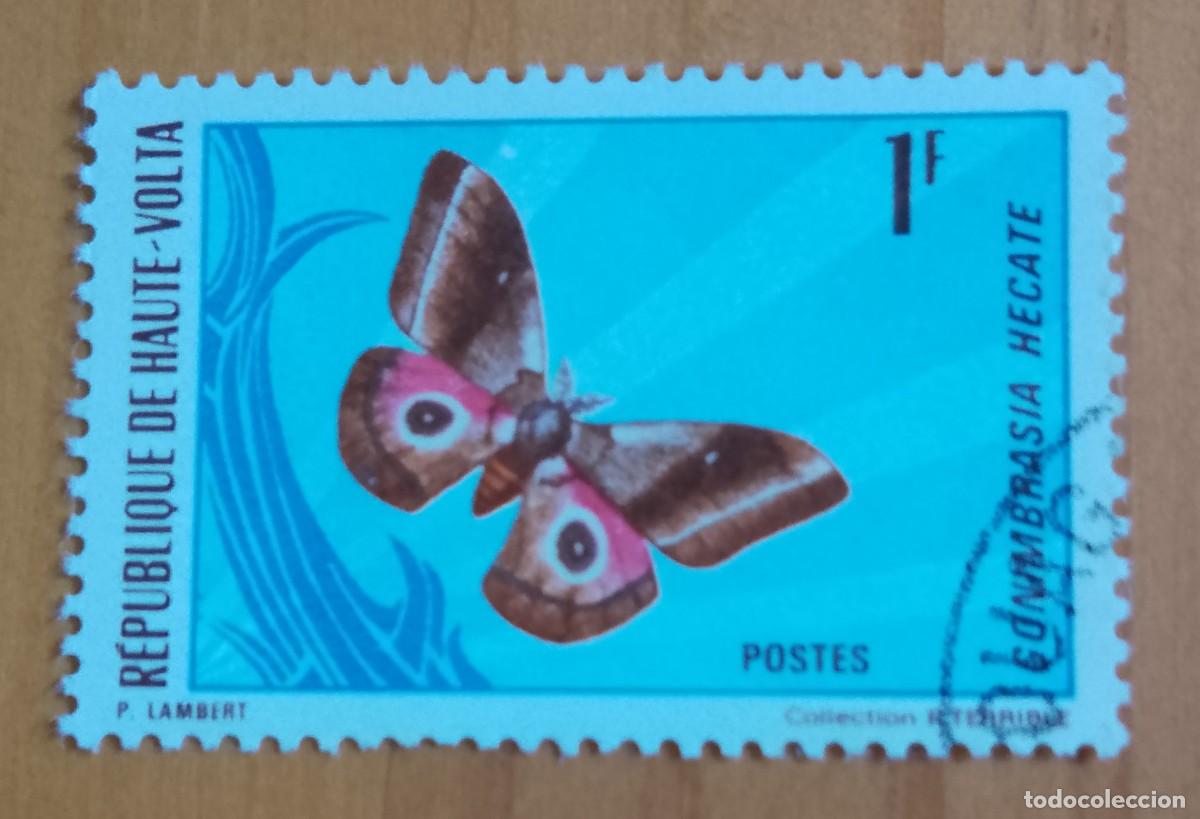 Sellos: ALTO VOLTA - 1 F - FAUNA, MARIPOSA, GONIMBRASI HECATE - VER DESCRIPCI&Oacute;N