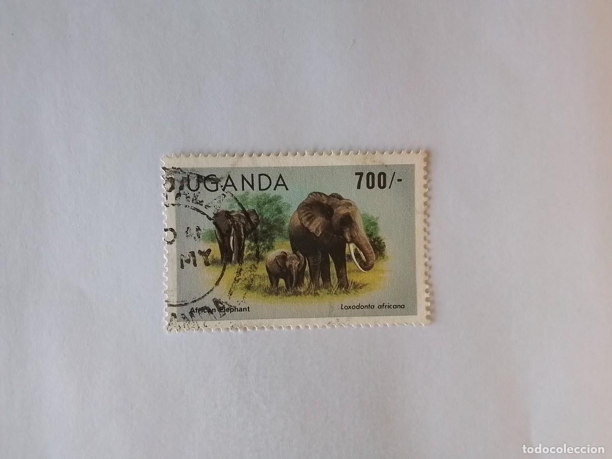 Sellos: A&Ntilde;O 1979 UGANDA SELLO USADO