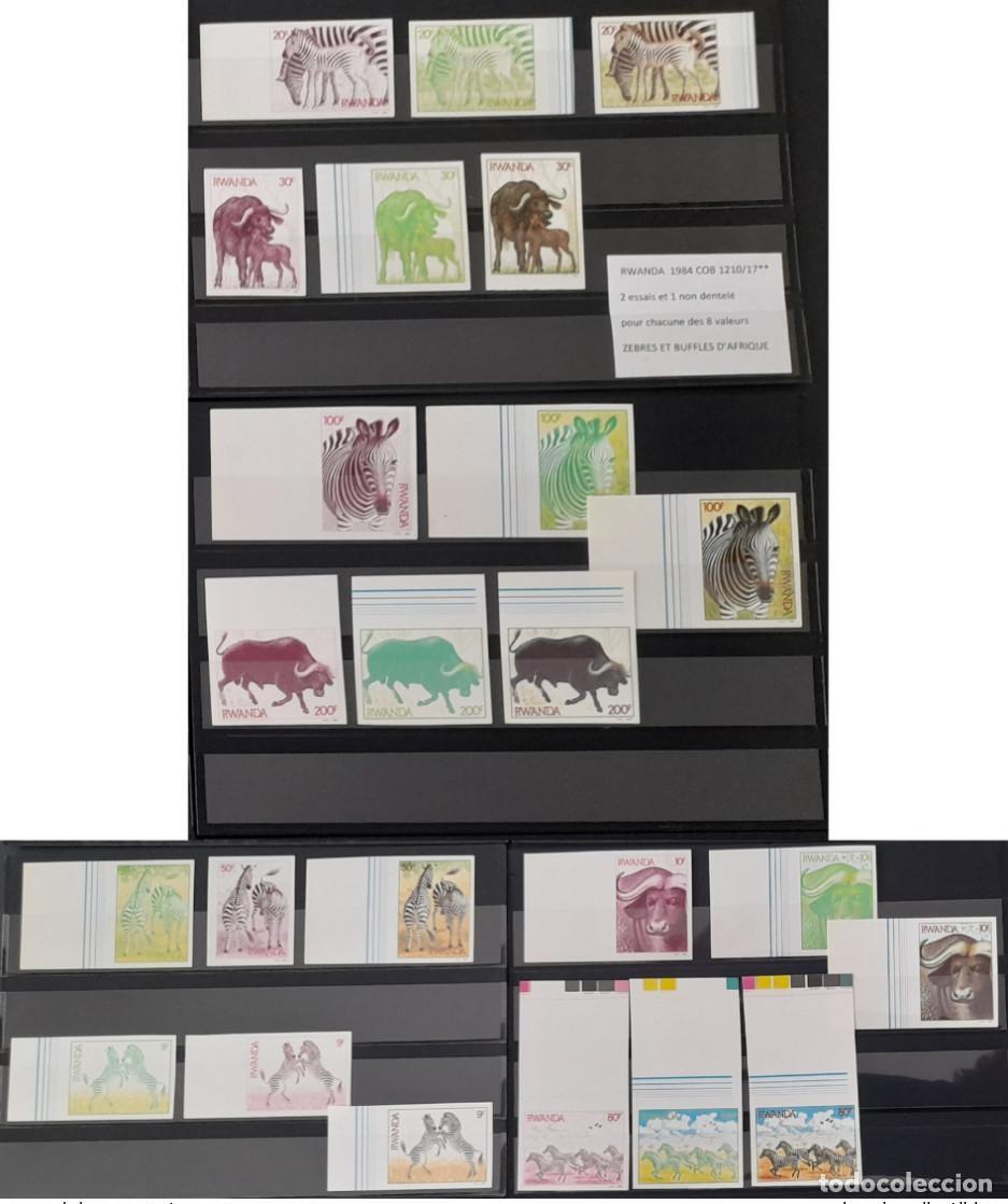 Sellos: Ruanda 1984 COB 1218 - 1225 pruebas de color IMPERF ND Zebra Buffalo Wildlife