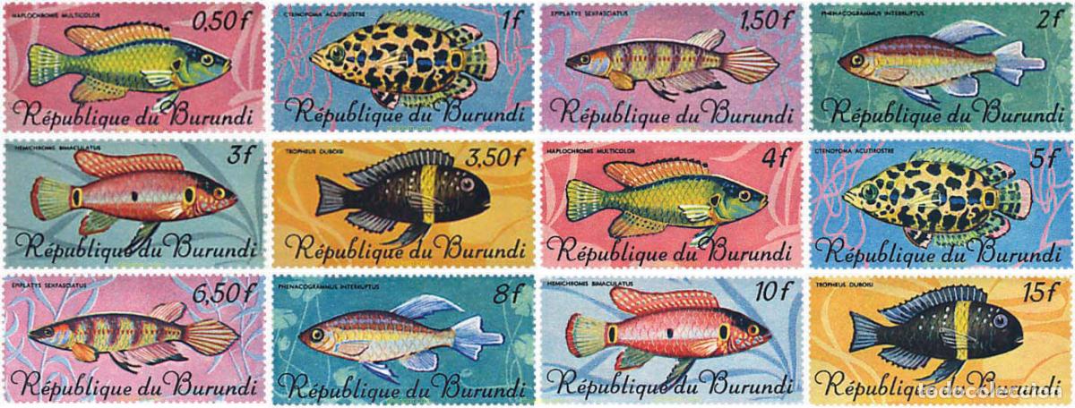 Sellos: 759973 MNH BURUNDI 1967 PECES