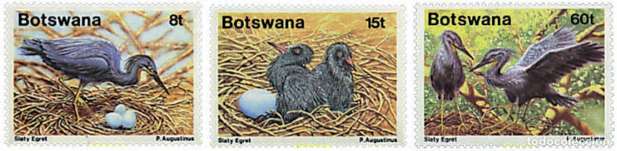 Sellos: 796348 MNH BOTSWANA 1989 FAUNA. AVES