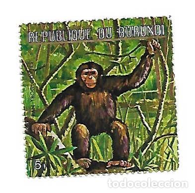 Sellos: CHIMPANC&Eacute;: animales salvajes en Burundi, sello a&ntilde;o 1971