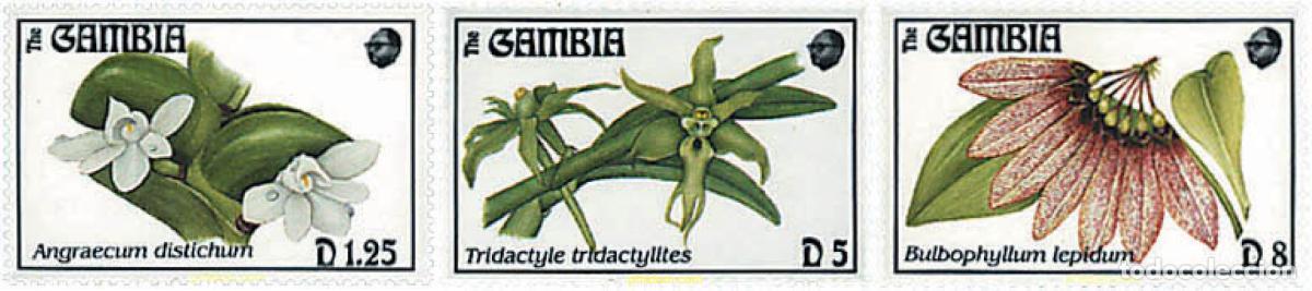Sellos: 796415 MNH GAMBIA 1994 ORQUIDEAS DE GAMBIA