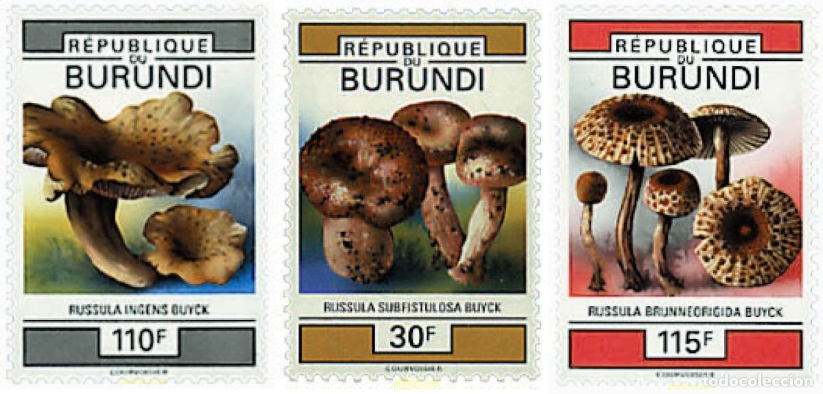 Sellos: 36213 MNH BURUNDI 1993 SETAS