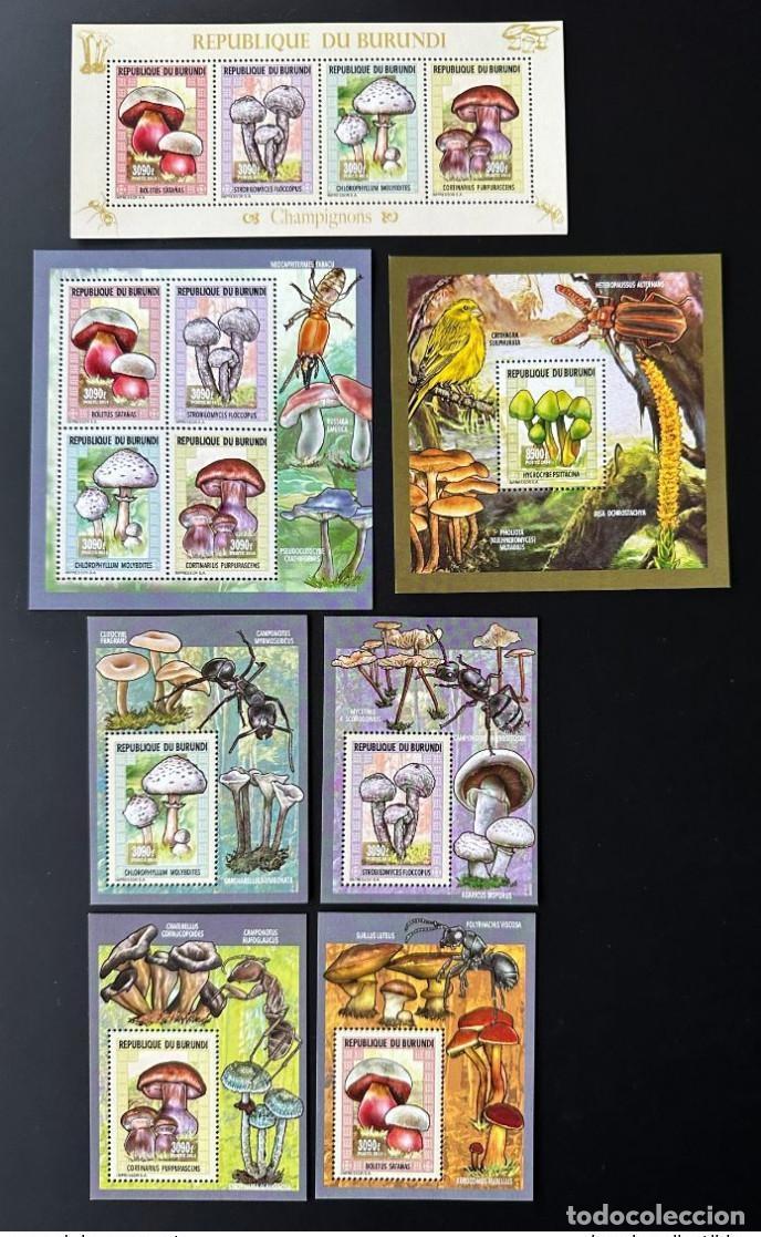 Timbres: Burundi 2014/2015 Mi. 3548 - 3552 Bl. 547 551 Hongos