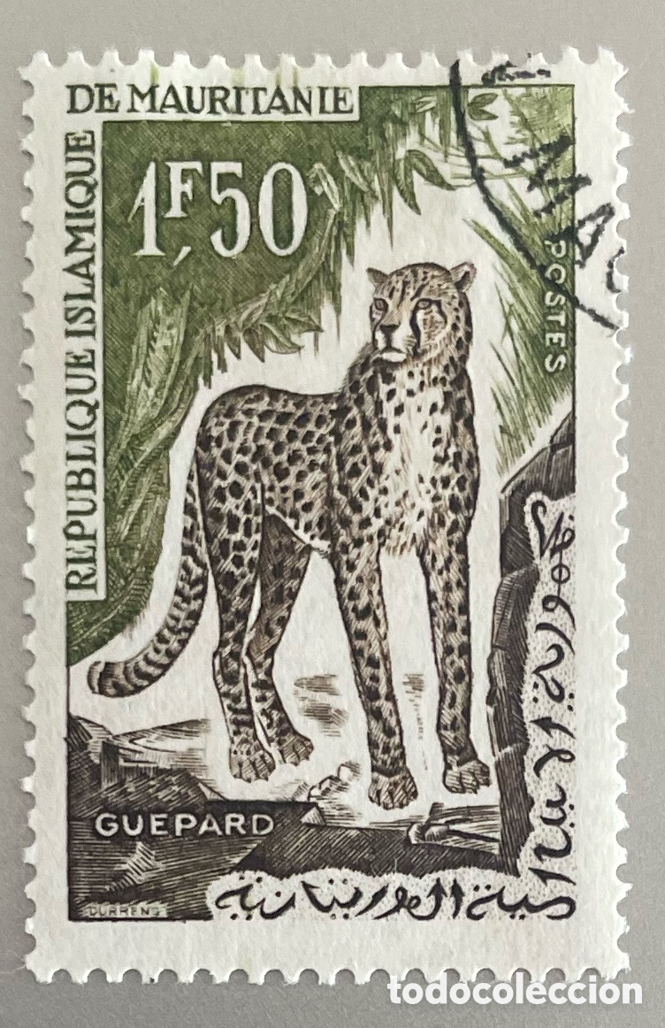 Sellos: Mauritania. Fauna. 1963