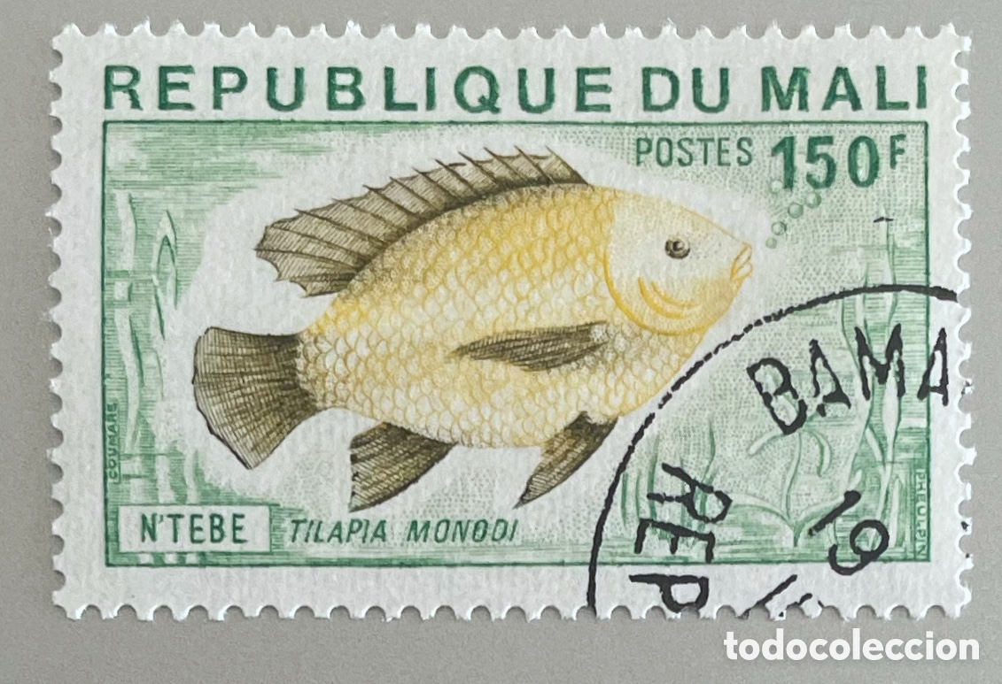 Stamps: Mali. Peces. Tilapia. 1976