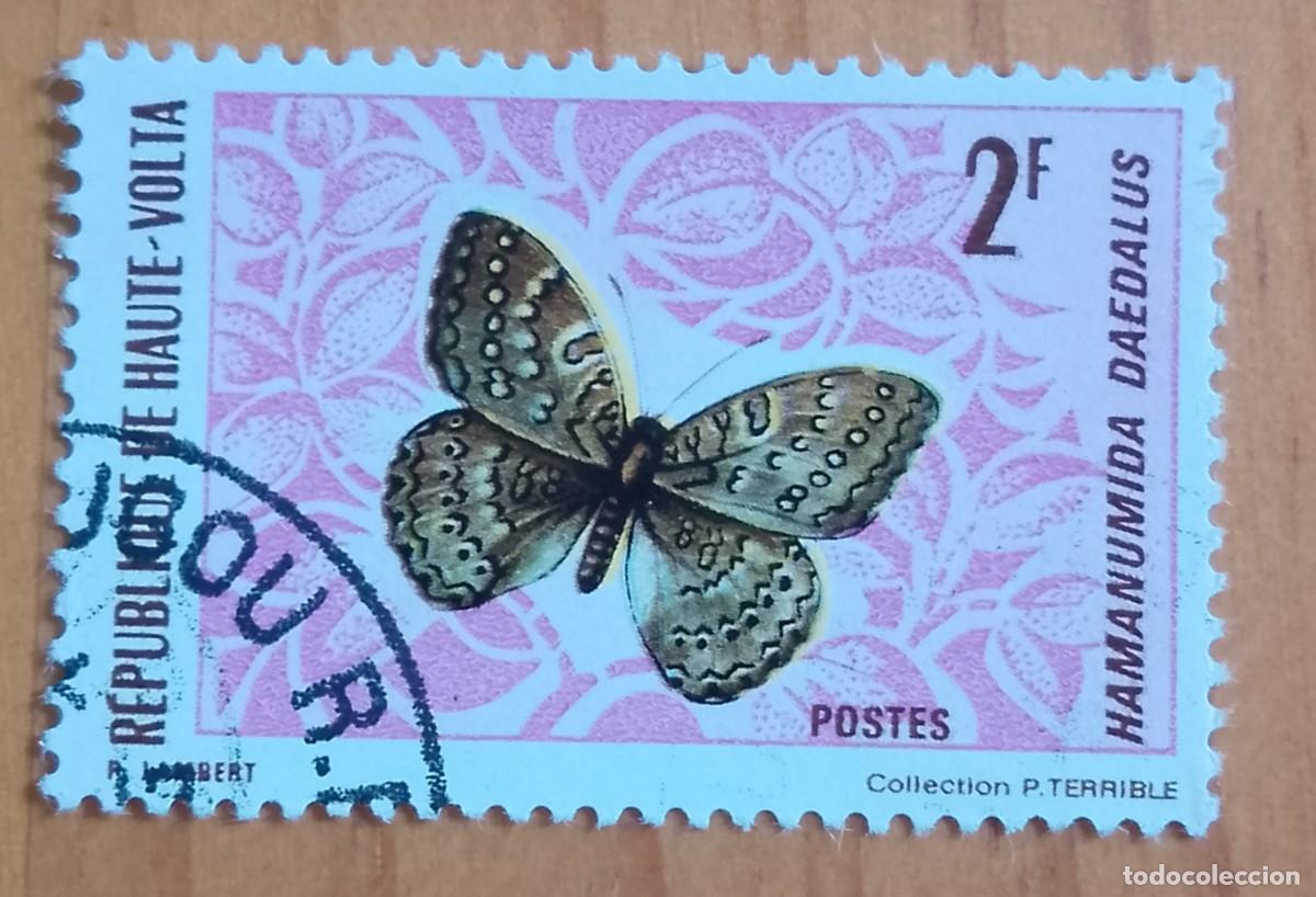 Sellos: ALTO VOLTA- V/F 2 F - FAUNA, MARIPOSA, HAMANUMIDA DAEDALUS - VER DESCRIPCI&Oacute;N