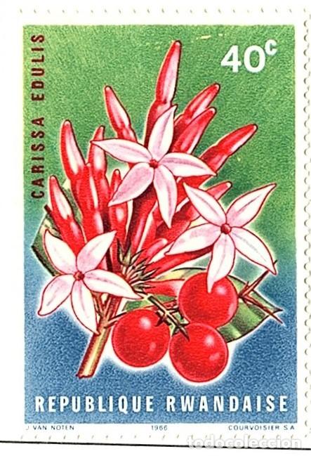 Sellos: Ruanda. Flores. 1966. YT-151. Nuevo sin goma
