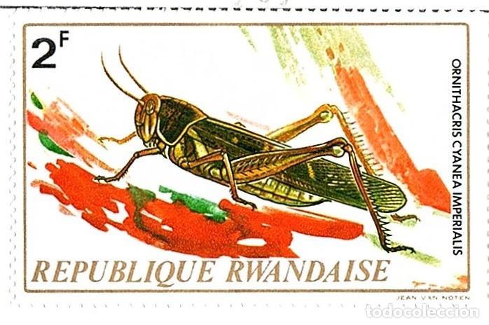 Francobolli: Ruanda .Insectos. 1969. YT-505. Nuevos con goma