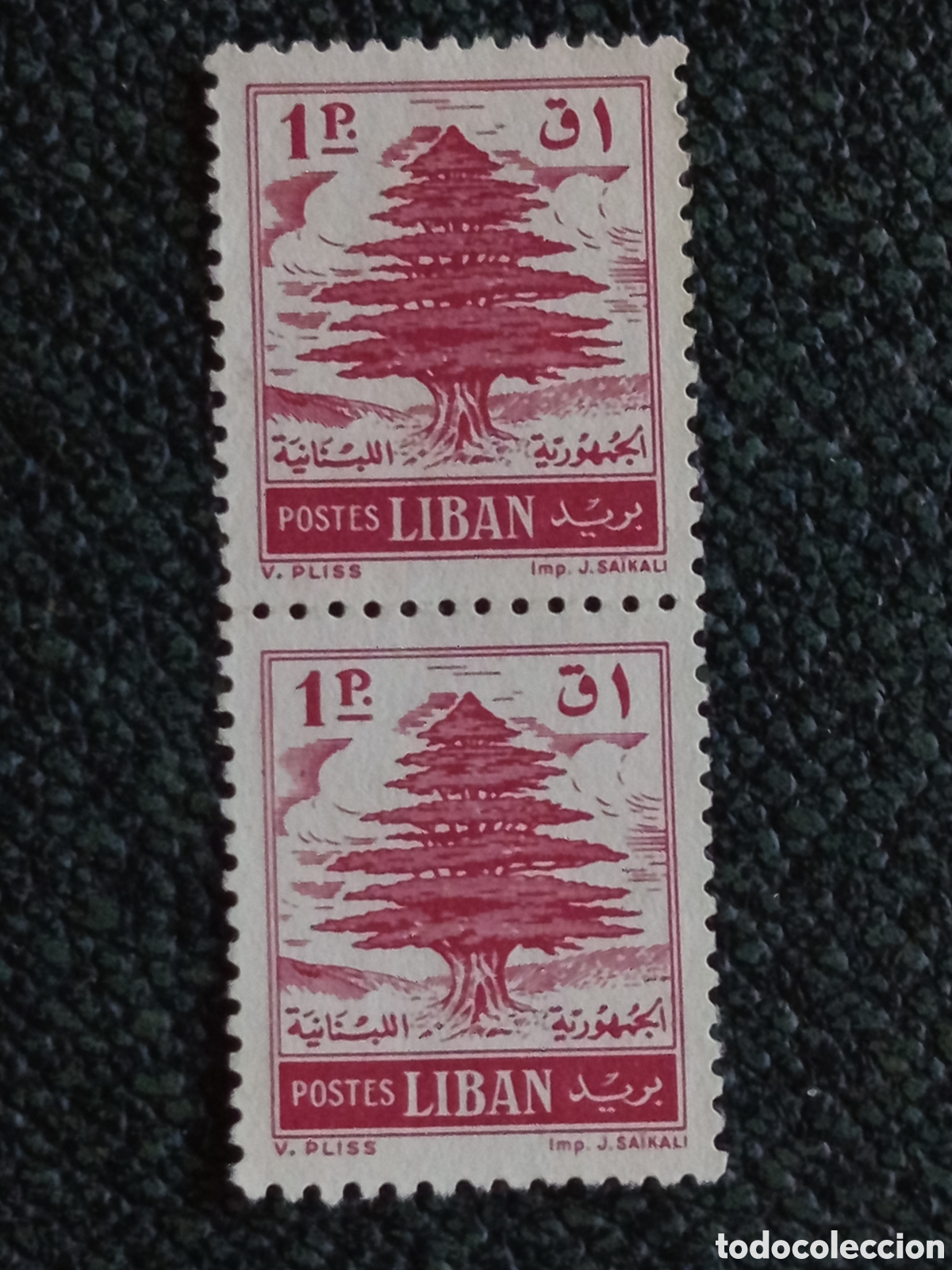 Sellos: Pareja Sellos L&iacute;bano 1950 Cerdro del L&iacute;bano 1 Piastra MH (Michel 344 / SC 288)