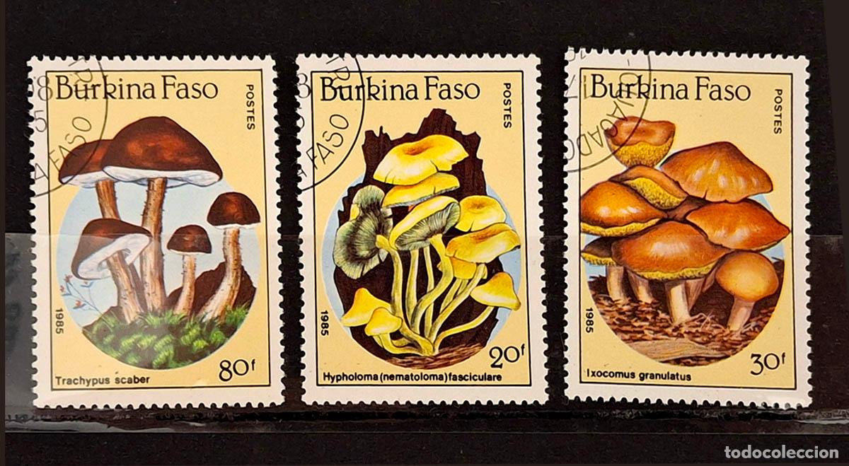 Francobolli: 3 sellos de Burkina Faso - Setas y hongos
