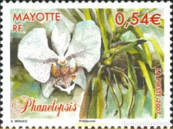 Sellos: 206095 MNH MAYOTTE 2007 FLOR